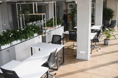 Beyaz masaları, siyah sandalyeleri ve birçok yeşil bitkisi olan boş, modern, açık uzay ofisi, sağlıklı ve verimli bir çalışma ortamı sağlıyor.