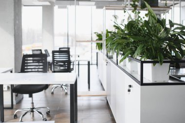 Şık ofis iç mimarisi, verimli ve ferahlatıcı bir çalışma ortamı yaratan yemyeşil bitkilerle modern bir tasarım sergiliyor.
