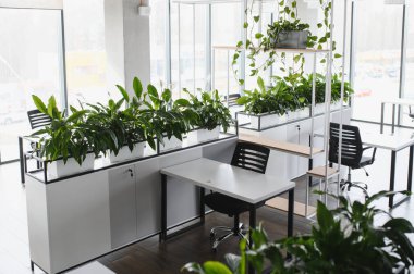 Çağdaş bir ofiste verimli bir yeşillik gelişiyor. Huzurlu ve çalışanların refahını artırmak için ilham verici bir çalışma alanı.