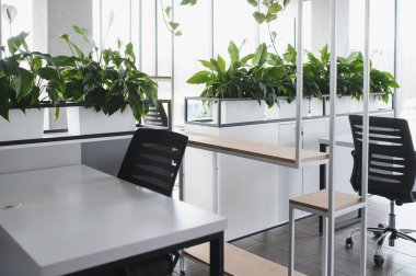 Beyaz masalar, siyah ofis sandalyeleri ve beyaz tencerelerde yemyeşil bitkilerin bulunduğu modern ofis alanı verimli ve keyifli bir çalışma ortamı yaratıyor.