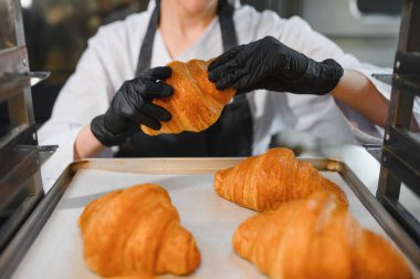 Siyah eldivenler takan fırıncı, ticari mutfakta kruvasanları pişirme tepsisine dikkatlice yerleştiriyor.