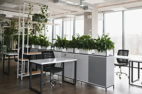 Saksı bitkileri çağdaş ofis ortamında daha canlı ve ferahlatıcı bir atmosfer yaratarak daha sağlıklı ve daha üretken bir çalışma ortamı oluştururlar.