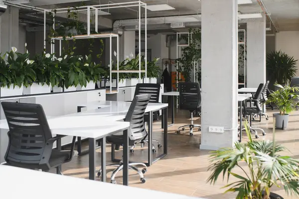 Beyaz masaları, siyah sandalyeleri ve verimli bir atmosfer yaratan bol yeşil bitkileri olan boş modern ofis.