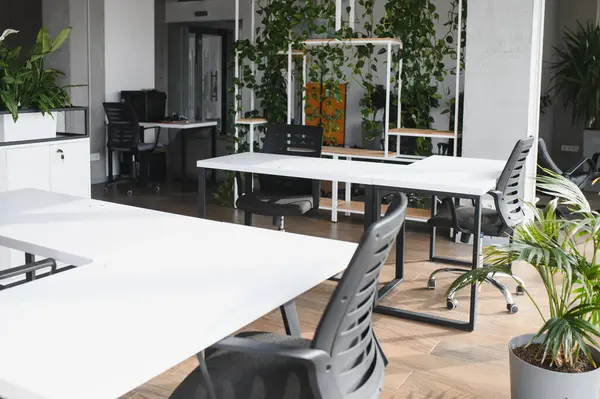 Beyaz masalar ve siyah sandalyeler, yemyeşil bitkilerin varlığı ile geliştirilmiş çağdaş bir ofis alanında şık ve üretken bir atmosfer yaratırlar.