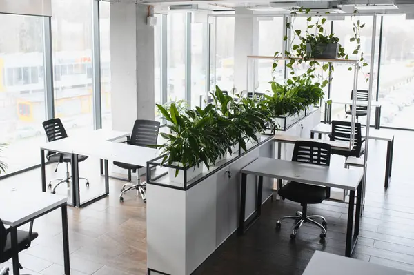 Beyaz masalar, siyah sandalyeler ve verimli ve keyifli bir çalışma ortamı yaratan yemyeşil bitkilerin yer aldığı parlak, havadar modern ofis alanı
