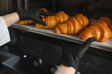 Siyah eldivenli fırıncı profesyonel fırından bir tepsi altın rengi kruvasan alıyor.