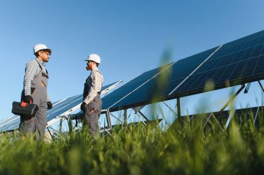 İki mühendis yeşil alandaki güneş panellerinin yanında temiz enerji ve sürdürülebilirliğe katkıda bulunmayı tartışıyorlar.