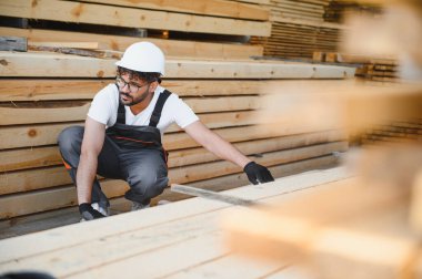 Marangoz iş tulumu giyiyor ve kereste deposundaki ahşap tahtaları denetliyor. Kereste endüstrisinde kalite kontrolü sağlıyor.