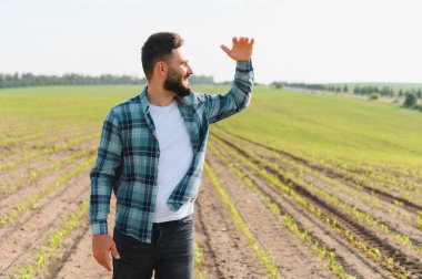 Genç mısır bitkilerinin yetiştirildiği tarlaları incelerken güneşten korunan tarımcı gözler.