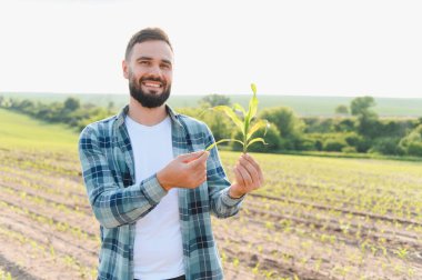 Tarımsal alanda mısır filizini inceleyen gülen tarımcı, ekili tarım alanındaki yeni bitkilerin kalitesini kontrol ediyor