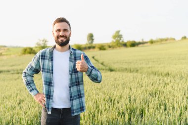 Gülümseyen çiftçi buğday tarlasında dikilirken başparmağını kaldırarak hasattan önce ekinlerin büyümesinden duyduğu memnuniyeti dile getiriyor.