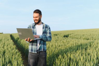 Buğday tarlası büyümesini analiz eden dizüstü bilgisayar kullanan tarımcı, verimli ürün yönetimi için hassas tarım teknikleri uyguluyor