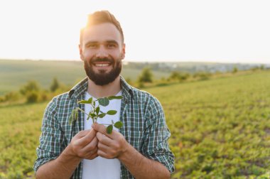 Gülümseyen tarımcı tarlada yetiştirilen soya bitkisinin büyümesini inceliyor, sağlıklı ve verimli bir hasat sağlıyor.