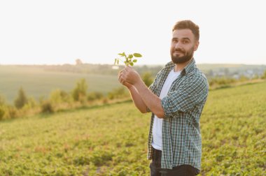 Tarlada yetiştirilen soya bitkilerini inceleyen tarımcı sağlıklı büyüme ve sürdürülebilir tarım uygulamalarını güvence altına alıyor.