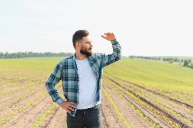 Yeşillik, bereketli bir tarlada mısırın büyümesini dikkatle incelerken, parlak güneş ışığından gözlerini koruyan tarımcı gözler.