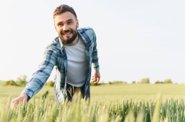 Gülümseyen çiftçi uçsuz bucaksız yeşil bir tarlada buğday kulaklarını inceliyor, bereketli hasat mevsiminin neşesini kutluyor ve doğanın bereketini kucaklıyor.