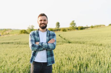 Güvenilir çiftçi buğday tarlasında gururla duruyor, kolları bağlı, başarılı bir hasat bekliyor.