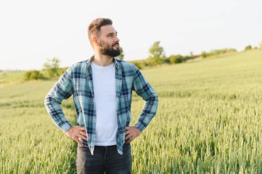 Buğday tarlasında elleri kalçasında duran kendinden emin çiftçi hasat zamanından önce ekinlerini teftiş ediyor.