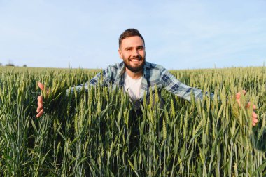 Gülümseyen tarımcı tarlada yetişen buğday bitkilerini inceliyor, sağlıklı bir hasat sağlıyor.