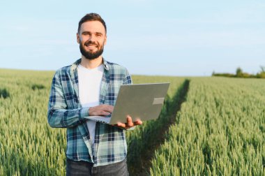 Hasattan önce buğday tarlasını incelerken dizüstü bilgisayar kullanan tarımcı, tarım alanında modern teknolojiler uyguluyor.