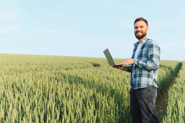 Çiftçi, hasattan önce buğday tarlasını incelerken dizüstü bilgisayar kullanıyor, sağlıklı ekin yetiştirme ve verimli tarım uygulamaları sağlıyor
