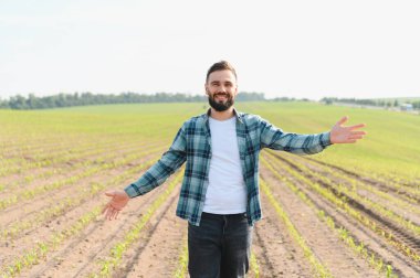 Agronomist, güneşli bir alanda gelişen mısır mahsullerini gururla sunarak sürdürülebilir tarım ve tarım başarısına olan bağlılığını yansıtıyor.