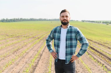 Genç tarımcı mısır tarlasında ekinleri denetliyor, bitki sağlığını izliyor ve başarılı bir hasat için optimal büyümeyi destekliyor.