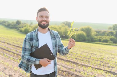 Tarım uzmanı mısır filizini inceliyor ve elinde bir pano tutuyor. Tarlada yeni ekinlerin kalitesini kontrol ediyor.