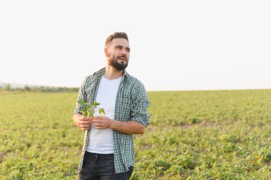 Tarımsal yönetimdeki büyüme ve gelişimi değerlendiren, ekili bir tarlada soya bitkisini inceleyen tarımcı