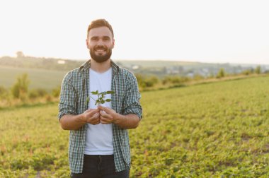 Gün batımında ekili tarlalarda soya bitkisini tutan ve denetleyen gülen tarımcı, sürdürülebilir tarım ve sağlıklı ürünler sergiliyor.