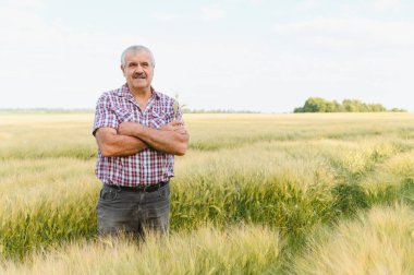 Güvenilir kıdemli çiftçi, altın buğday tarlasında kollarını kavuşturarak, cömert bir hasat sağlamaktan gurur duyar.