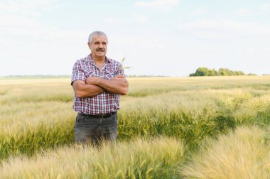 Kendinden emin kıdemli çiftçi, geniş bir altın buğday tarlasının ortasında kollarını kavuşturarak duruyor. Tecrübe ve tarım uzmanlığını somutlaştırıyor.