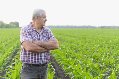 Kollarını kavuşturup büyüyen mısır tarlasına bakan kıdemli çiftçi güven ve memnuniyeti ifade ediyor.