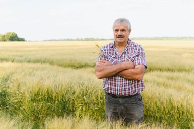 Kıdemli çiftçi buğday tarlasında çapraz kollarla duruyor, birkaç buğday sapı tutuyor, deneyimi somutlaştırıyor ve tarımsal başarıyı temsil ediyor.