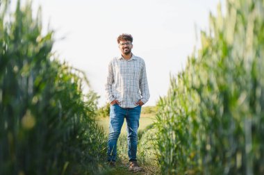 Tohum ekilmiş buğday tarlasında duran ve güneşli yaz boyunca gülümseyen kendinden emin Hintli tarım uzmanının portresi.
