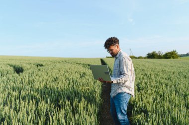 Ekili buğday tarlasında veri analizi yapan tarımcı, sağlıklı ekin büyümesini sağlar ve verimi en üst düzeye çıkarır.