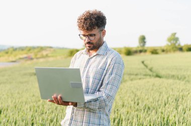 Agronomist, buğday tarlasında verimli ürün yönetimi için modern teknolojiyi kullanarak hassas tarım teknikleri uyguluyor.