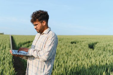 Agronomist buğday tarlasında dizüstü bilgisayar kullanıyor, verimli ürün yönetimi için akıllı tarım teknikleri uyguluyor