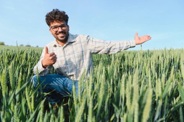 Gülümseyen tarım uzmanı, canlı bir buğday tarlasını gururla sunarken, sürdürülebilir tarım uygulamalarında başarıyı somutlaştırıyor.