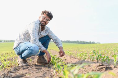 Bir mısır tarlasında çömelmiş, sıcak güneşin altındaki bitkilerin büyümesini dikkatle inceleyen, sürdürülebilir tarıma olan bağlılığını gösteren bir tarım uzmanı.