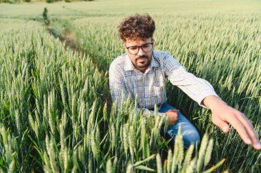 Tarlada yetiştirilen buğday bitkilerinin büyümesini analiz eden tarımcı sağlıklı ekin gelişimini ve sürdürülebilir tarımı sağlar.