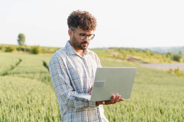 Çiftçinin tarım yönetimi için modern teknolojiyi kullanması, buğday tarlasını denetlemesi ve dizüstü bilgisayarda yazması