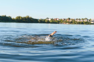 Sıcak yaz aylarında çaresizce gölde yardım isteyen, sudan elini uzatan bir adamın eli.