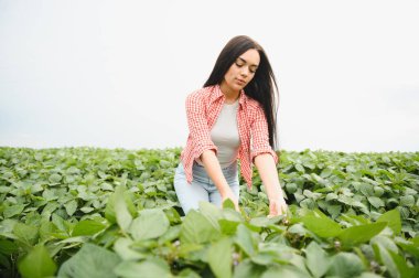 Genç kadın çiftçi, ekili bir tarlada soya fasulyesi yetiştirerek sağlıklı ve verimli bir hasat sağlıyor.