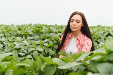 Genç kadın çiftçi, ekili bir tarlada soya fasulyesi yetiştirerek sağlıklı ve verimli bir hasat sağlıyor.