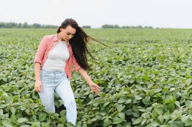 Genç kadın çiftçi, ekilmiş soya tarlasında yürüyor, bitkileri inceliyor ve yapraklara dokunuyor.