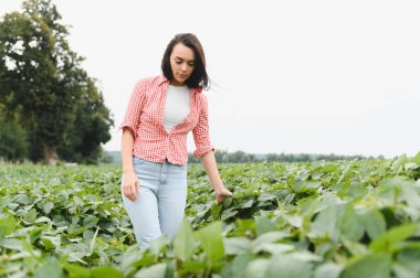 Genç kadın çiftçi, ekili bir tarlada soya fasulyesi yetiştirerek sağlıklı ve verimli bir hasat sağlıyor.