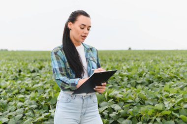 Kadın tarım mühendisi soya fasulyesi bitkilerini inceliyor ve ekili bir alandaki bir panoya gözlemler kaydediyor.