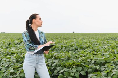 Kadın tarım uzmanı soya fasulyelerini analiz ederken bir panoya not alıyor ve tarım alanında sağlıklı ürün büyümesini sağlıyor.