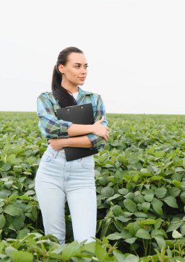 Zengin bir alanda canlı soya ekinlerini incelerken elinde bir pano tutan dişi tarım uzmanı sağlıklı büyüme ve sürdürülebilir tarım uygulamalarını güvence altına alıyor.